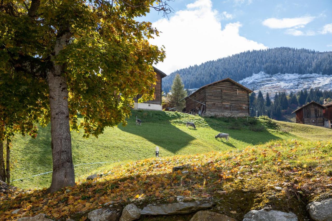 Alpenlodge Val Gronda 3* Obersaxen